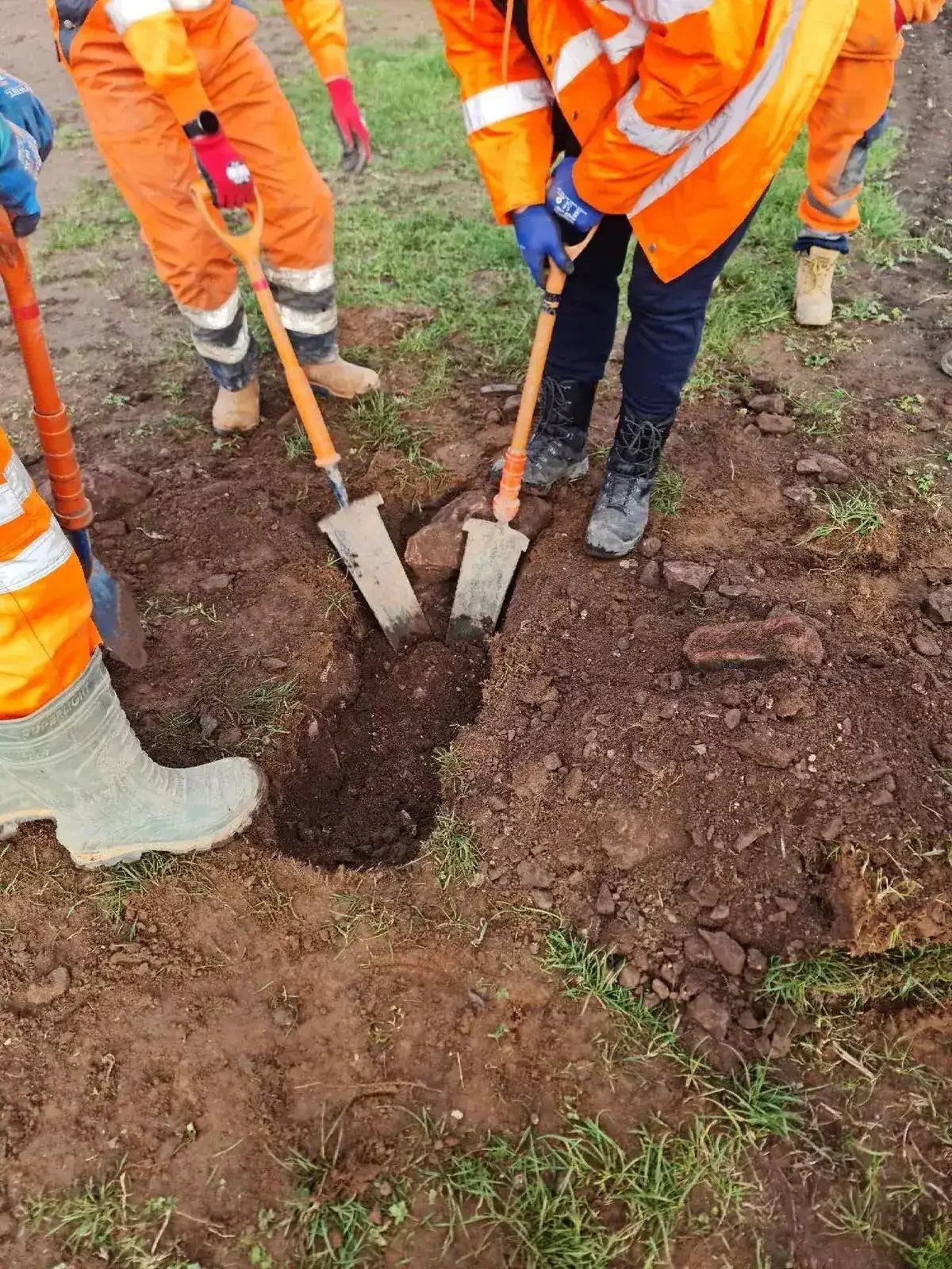 Bespoke training programme planning and site-specific delivery design