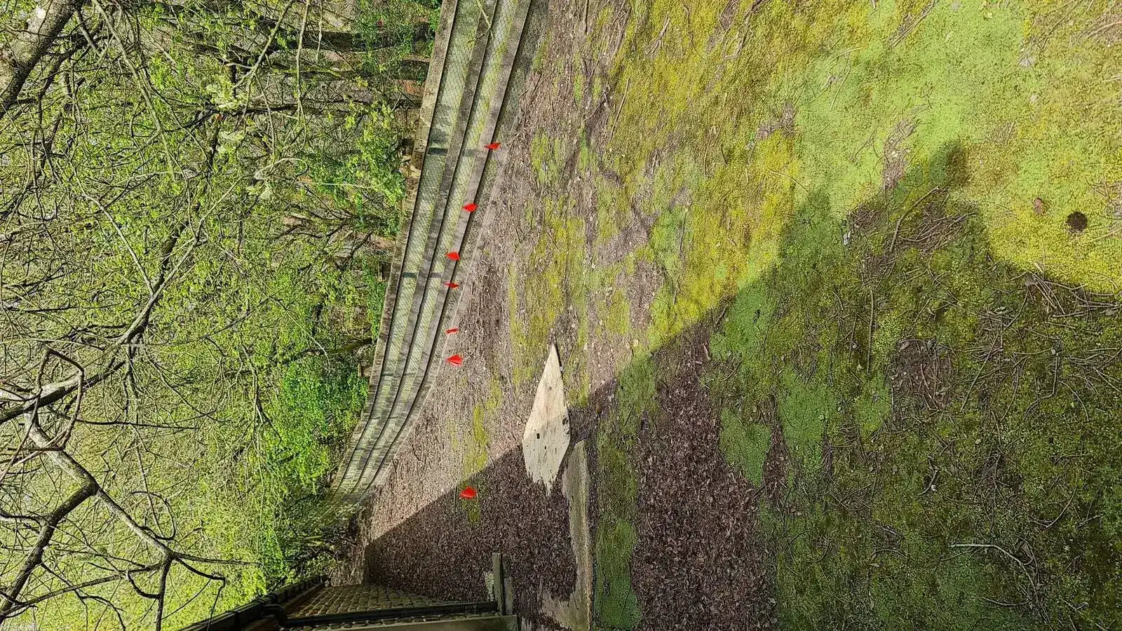 CAT and Genny training in action