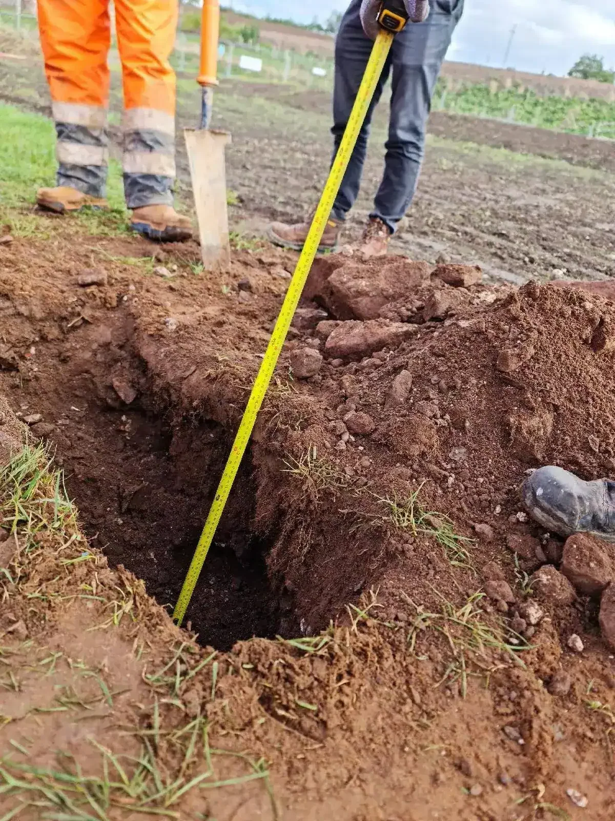 Comparing CAT training qualifications