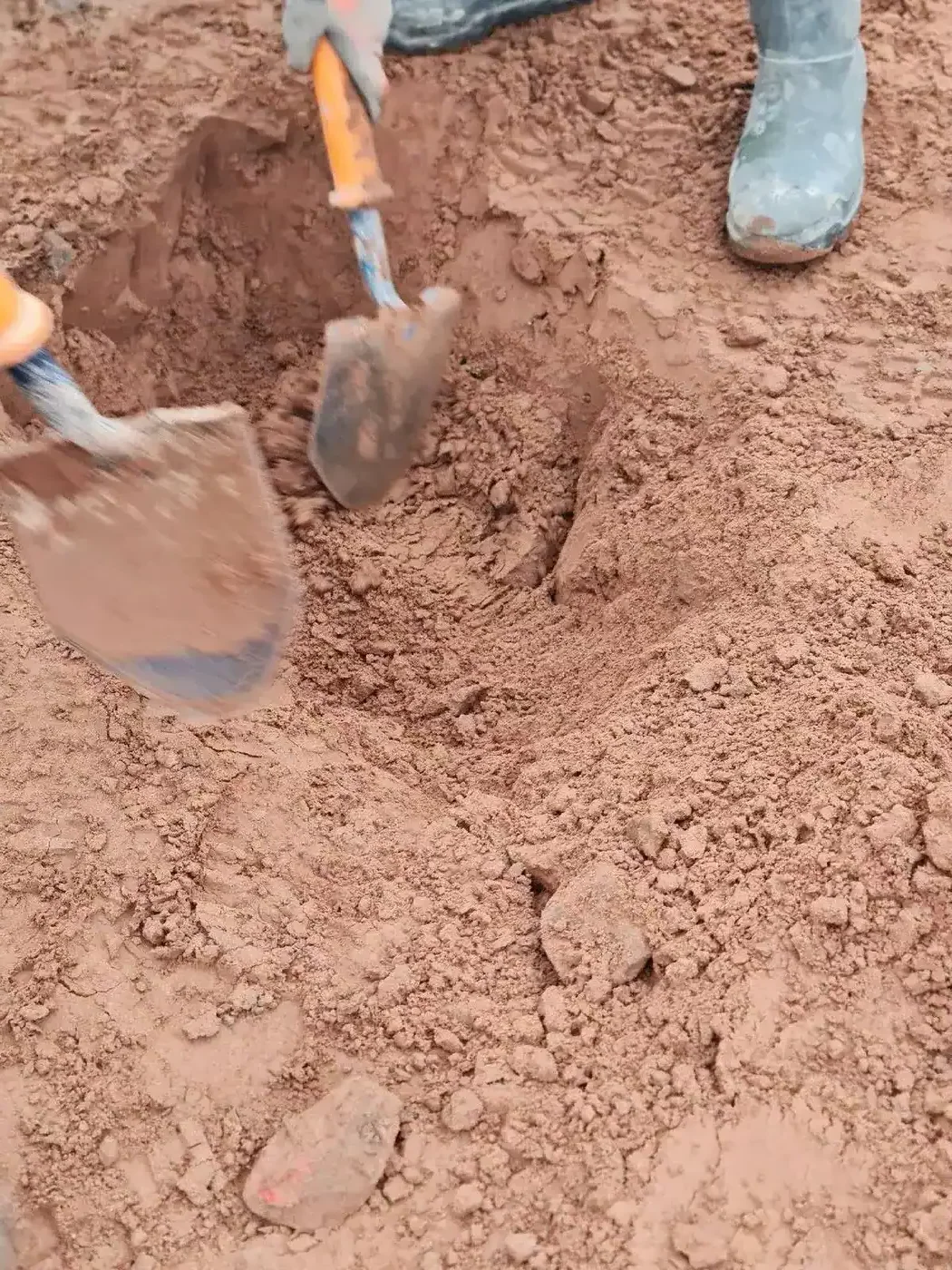 On-site practical dig