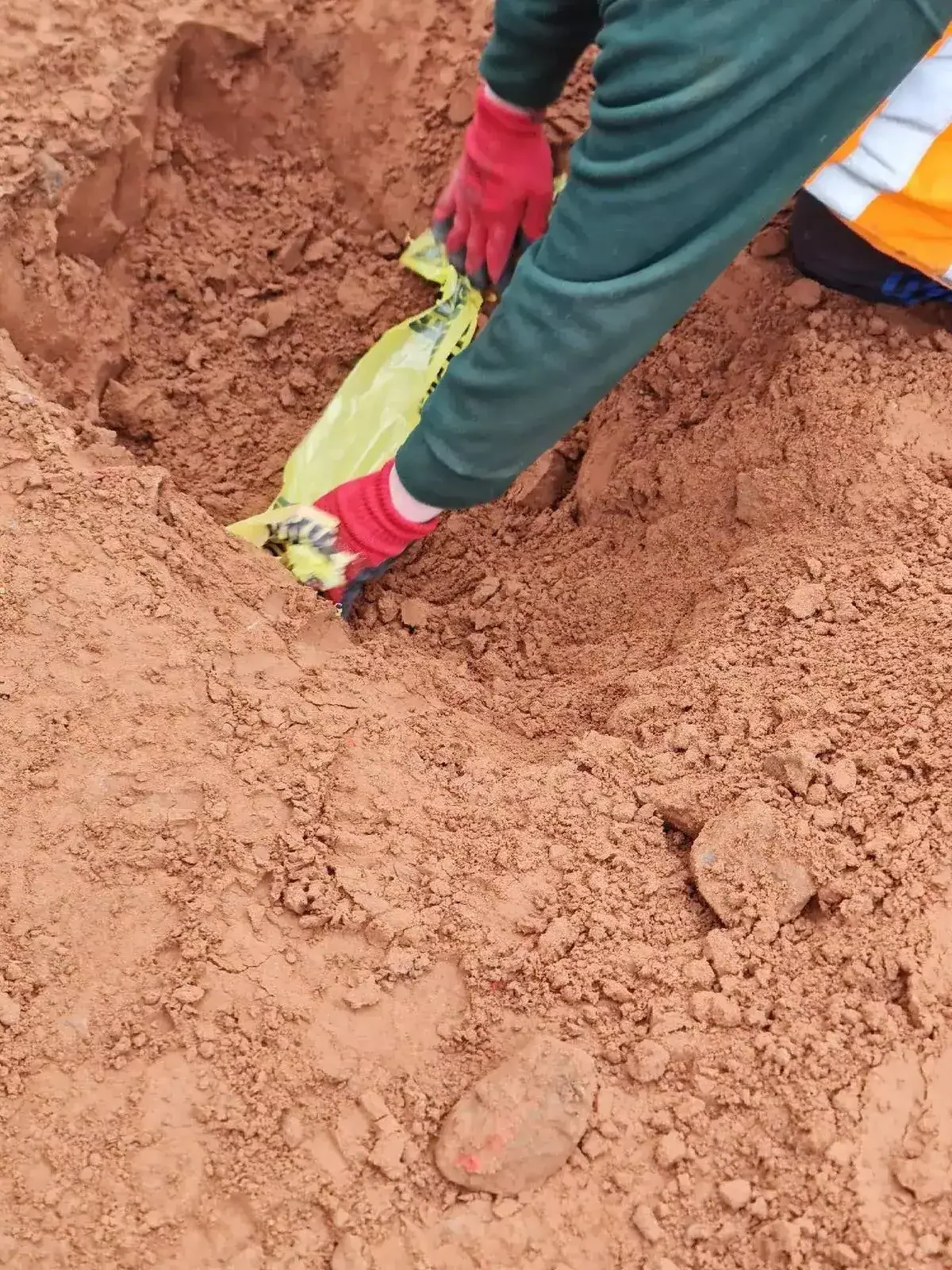 Per-course pricing model training